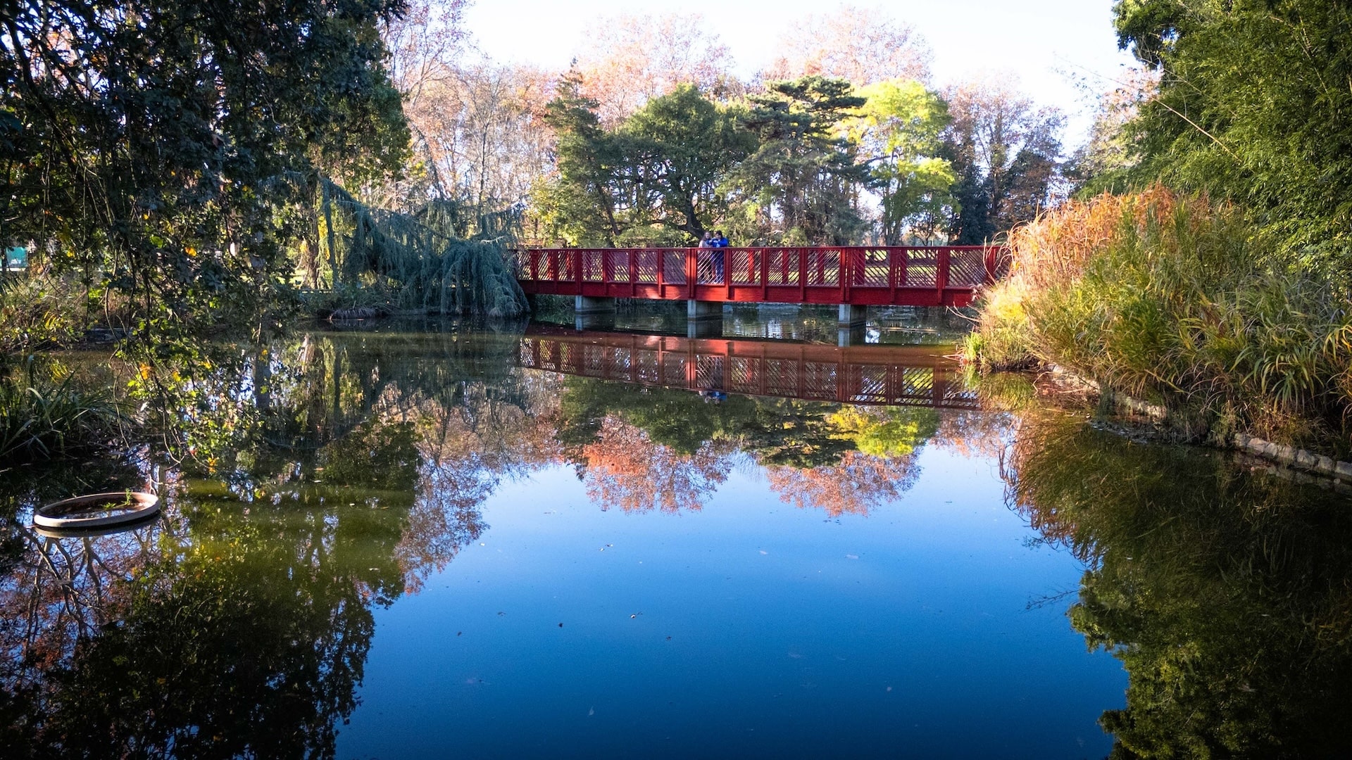 Le Jardin des Plantes