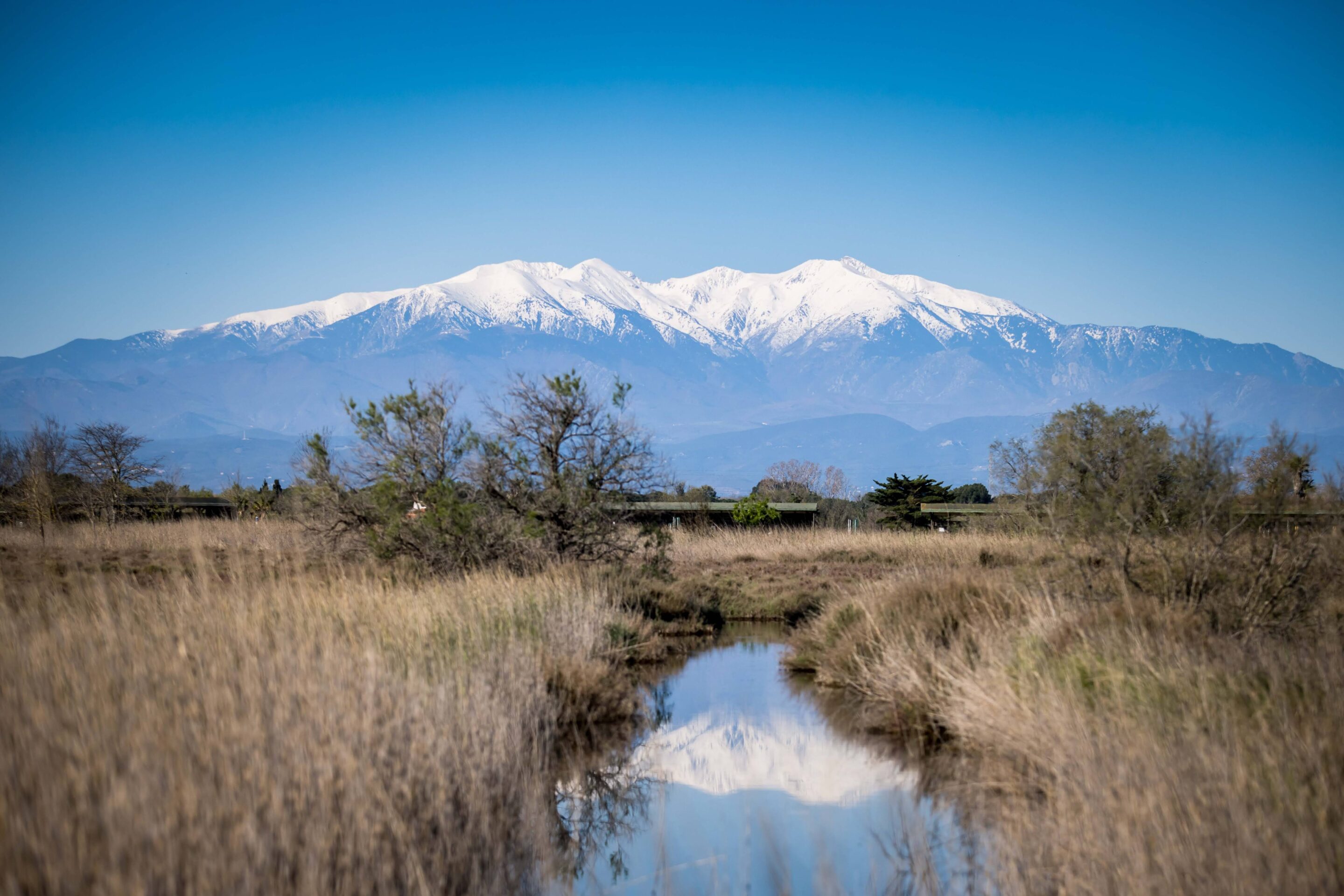 Neiges Canigou-16 (1)
