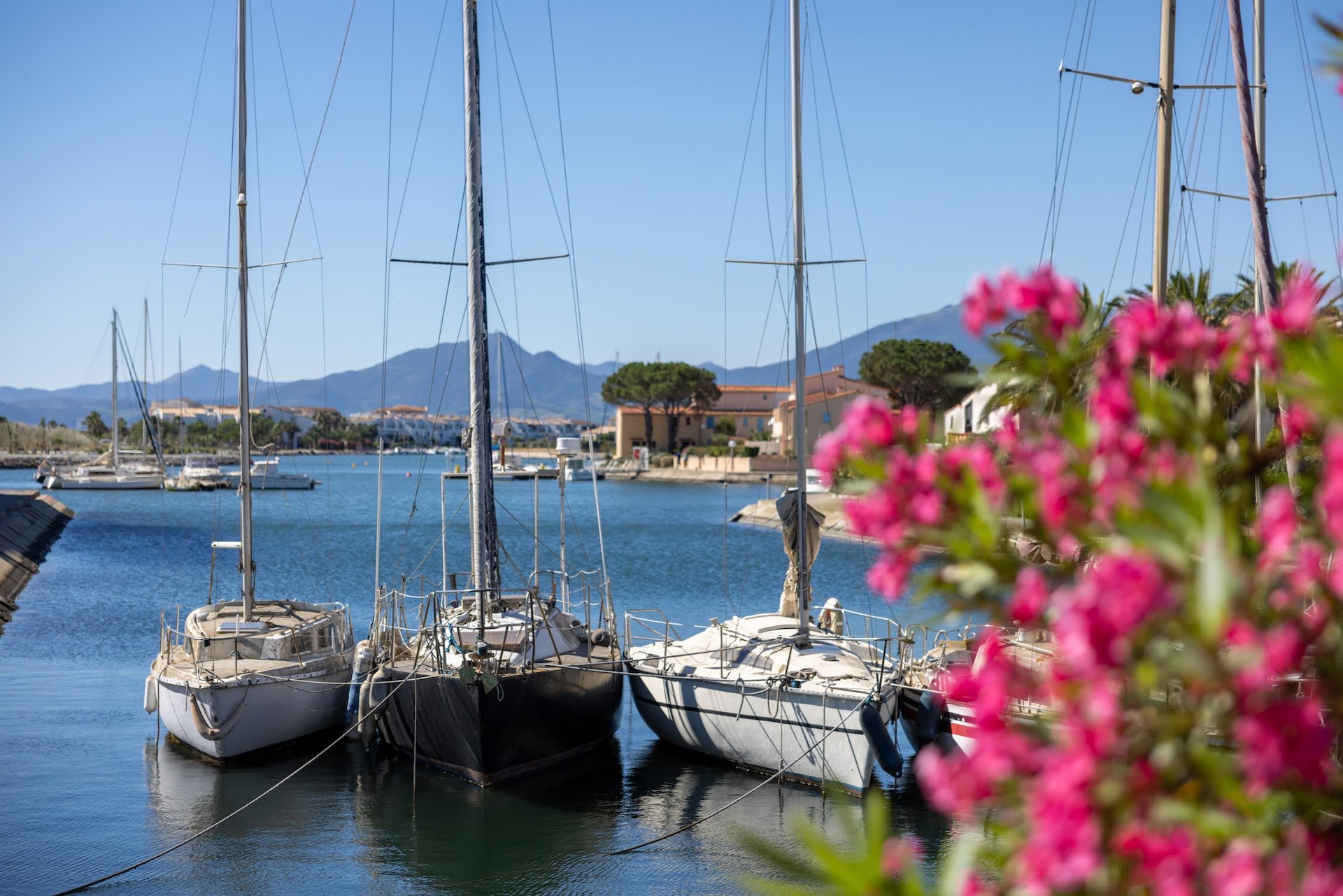 Le port de plaisance