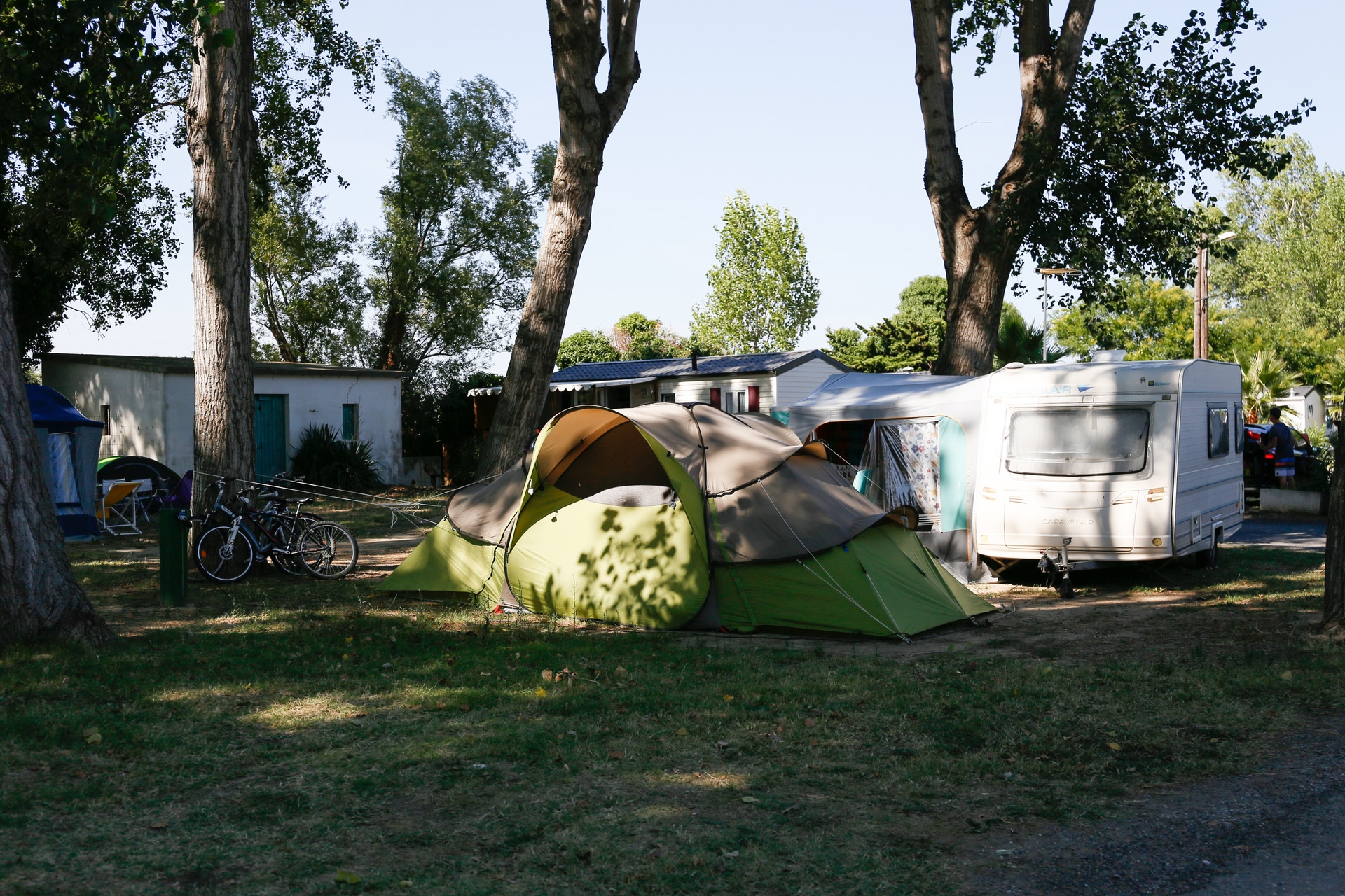 le bosc 2015 113