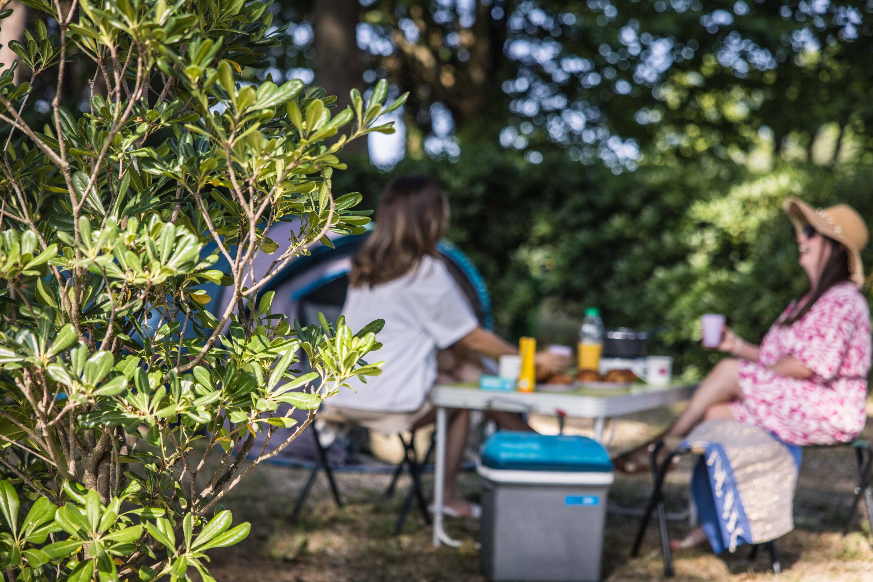 Camping tente van 28 scaled
