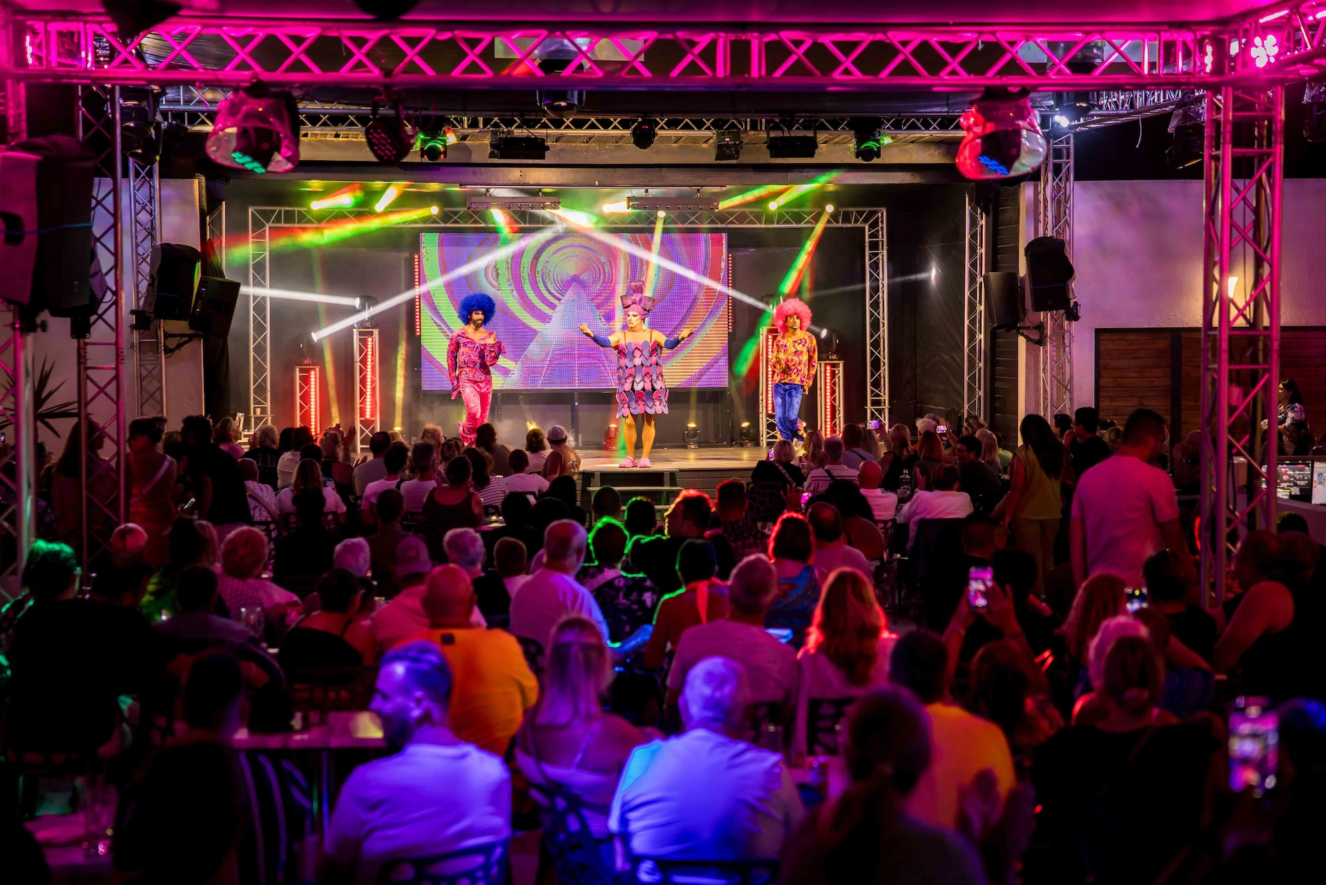 Spectacle oiseaux de nuit le Bosc -18