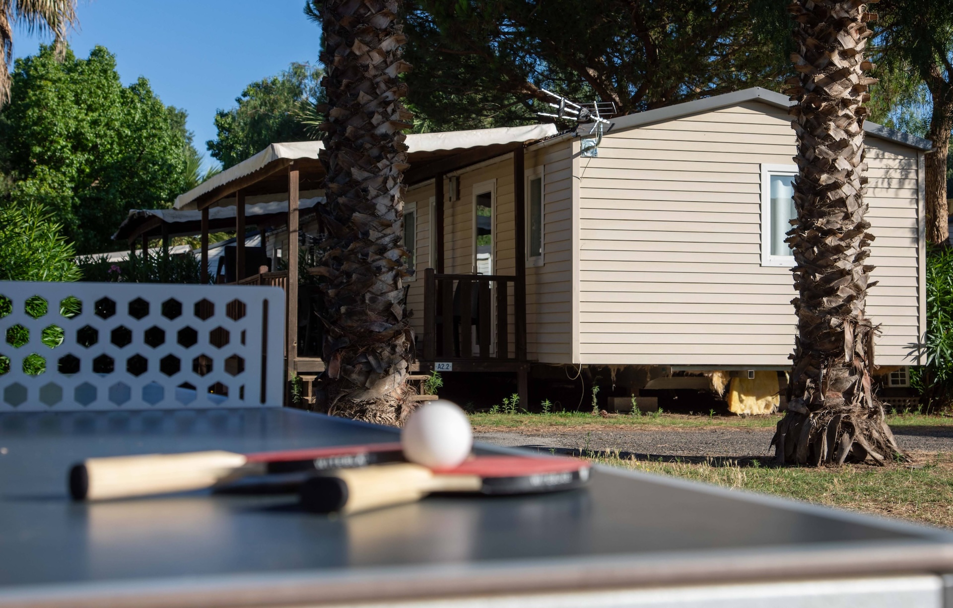 A203-6 ping pong camping le bosc