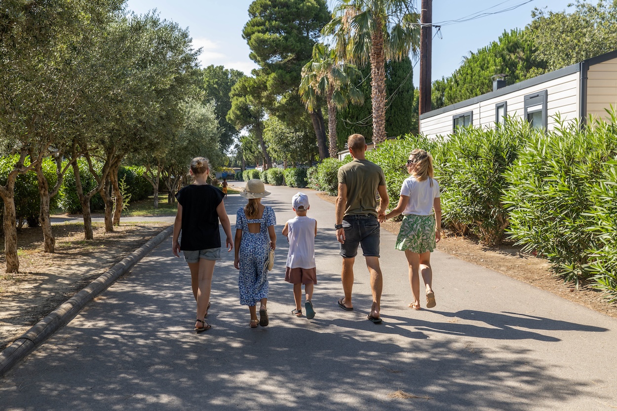 camping le Bosc Saint Cyprien5 1